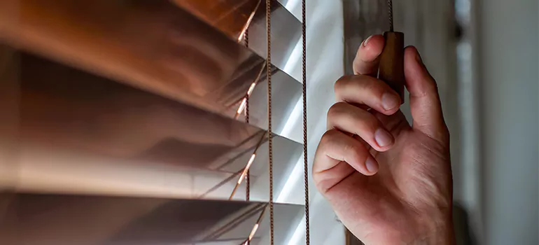 Double Roller Blinds in Wellington, FL