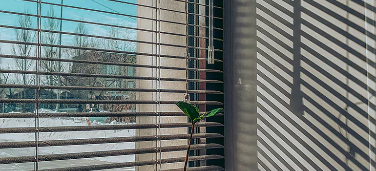 Commercial Window Blinds in Wellington, FL