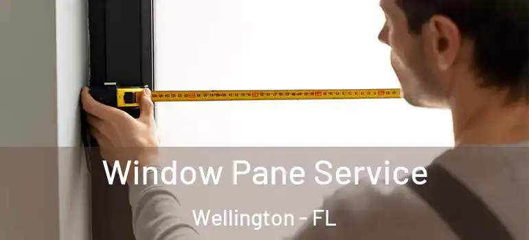  Window Pane Service Wellington - FL